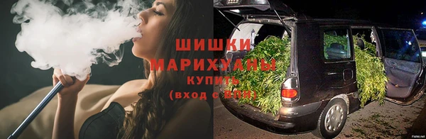 гидропоника Бородино