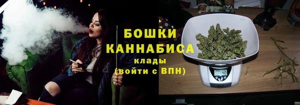 гидропоника Бородино