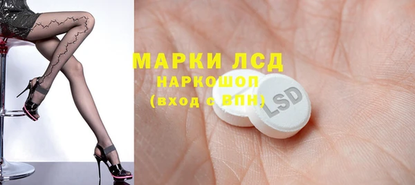 сатива Бронницы