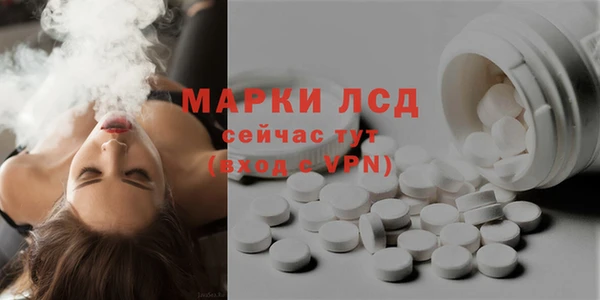 гидропоника Бородино
