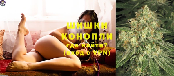 гидропоника Бородино