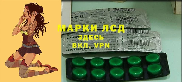 сатива Бронницы