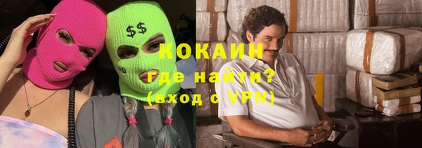 сатива Бронницы
