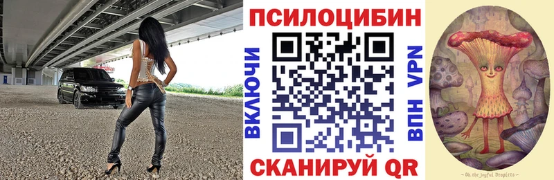 Псилоцибиновые грибы прущие грибы  Купить  Сокол 